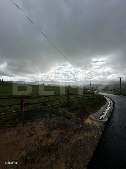 Teren de vanzare intravilan in Poiana Stampei, 2 hectare - 3