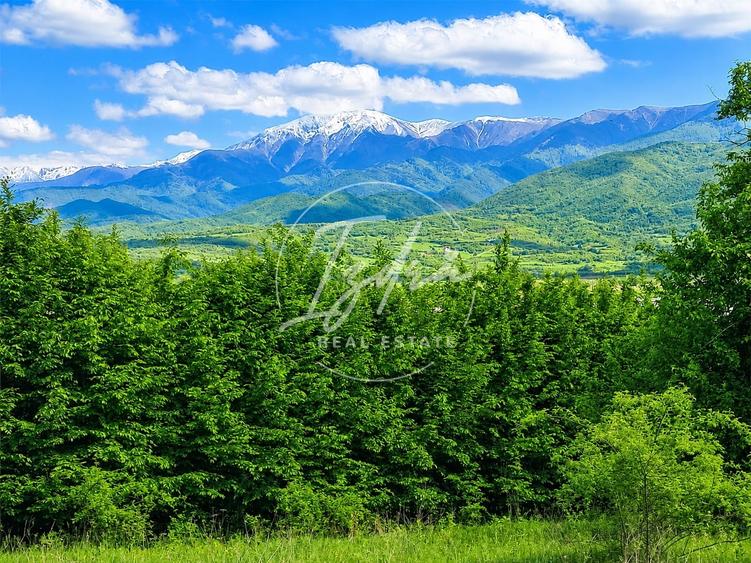 Teren agricol extravilan de 5967 mp, în Tălmaciu