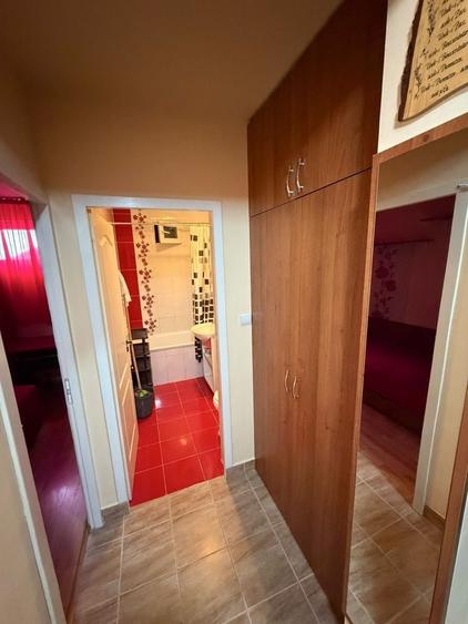 Apartament cu 2 camere în Nufărul
