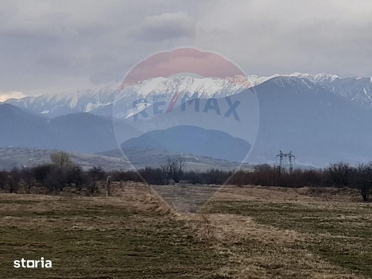 Teren 10,000mp Rasnov / Drumul Panicel - 5