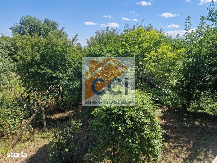Casă cu 4 camere cu Teren 10426 Mp în Central