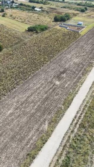 Teren Construcții intravilan de 10000 mp, în Frumușani