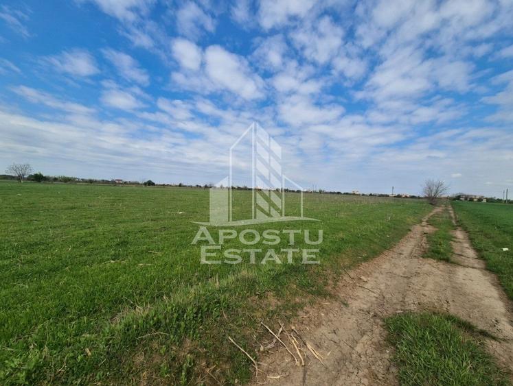 Teren Construcții intravilan de 10900 mp, în Sud