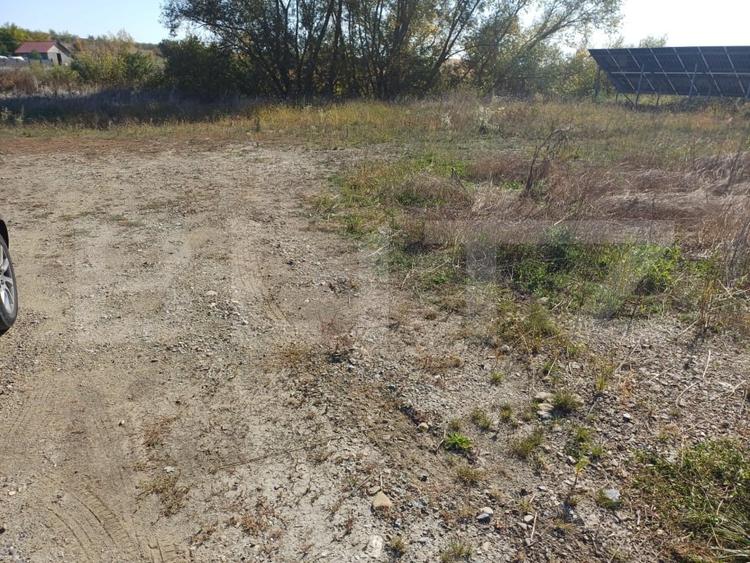 Teren Construcții intravilan de 3800 mp, în Liteni (Moara)