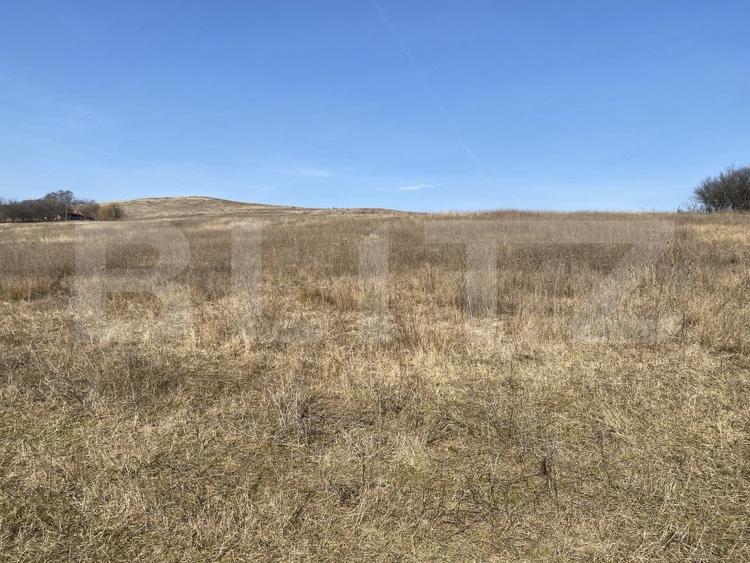 Teren agricol extravilan de 140551 mp, în Recea