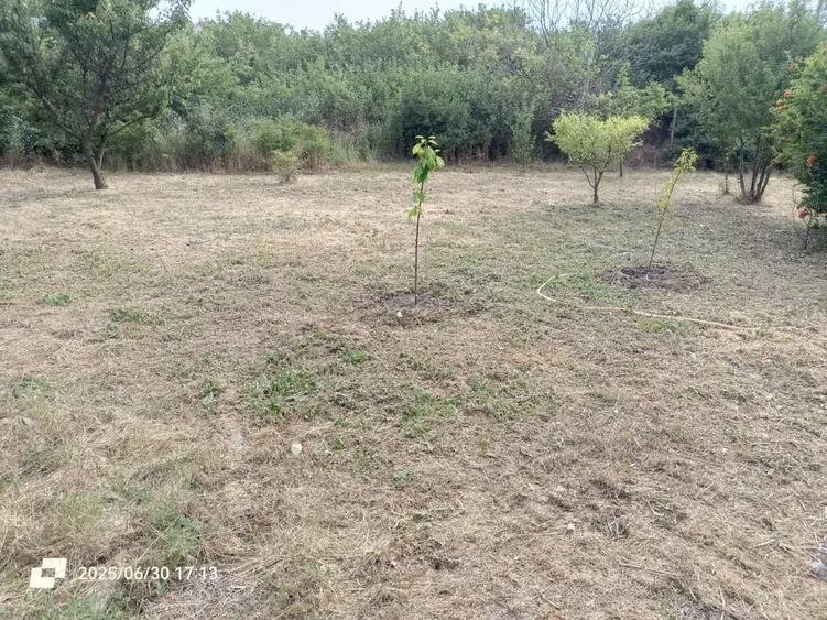 Casă cu 3 camere în Tuzla