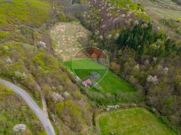 Casă individuală cu 4 camere cu Teren 5000 Mp în Cărand