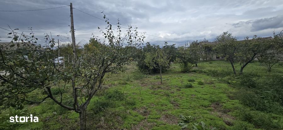 Casă cu 4 camere cu Teren 1917 Mp în Corbu