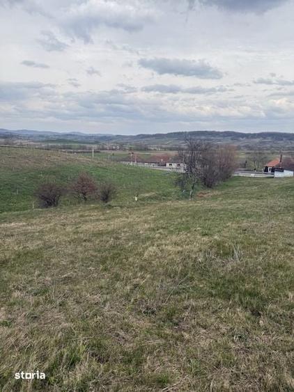 Teren de 4793 mp, în Ceica