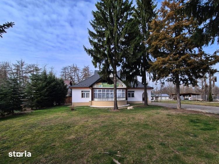 Pensiune venit constant garantat, 475 mp, zona Maramuresul Istoric - 15