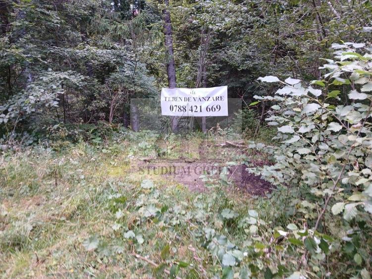 Teren Construcții intravilan de 7059 mp, în Vest