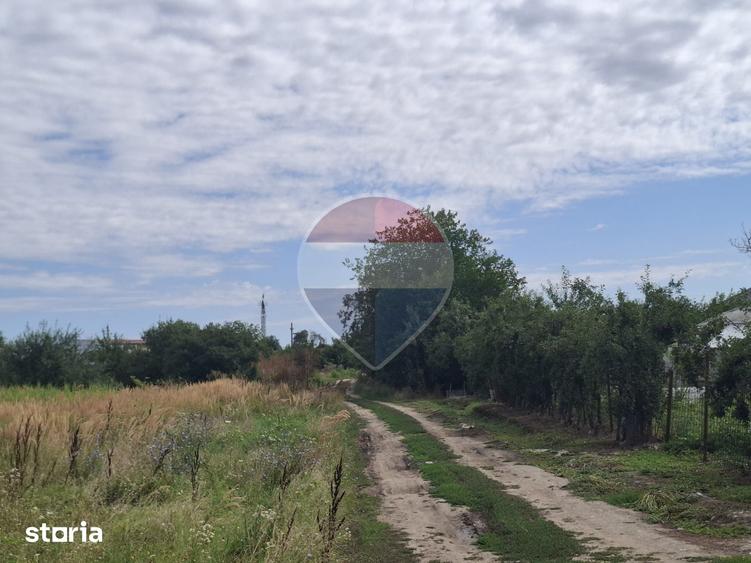 Teren de 28800 mp, în Drăgănescu