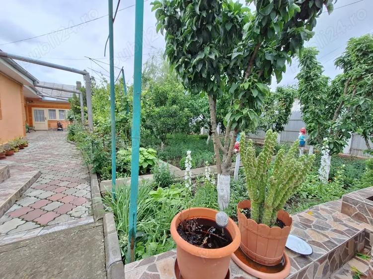 Casa cu 5 camere la 500 metri de LIDL piata centru - 9