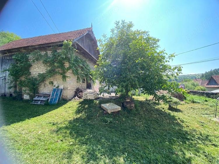 Casă cu 3 camere cu Teren 2350 Mp în Viștea