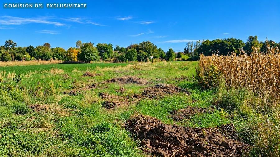 Teren intravilan de 1500 mp, în Iezer
