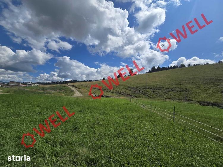 Teren de 109371 mp, în Lunca de Sus