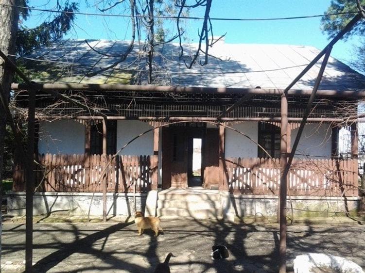 Teren Construcții intravilan de 37 mp, în Adunații-Copăceni