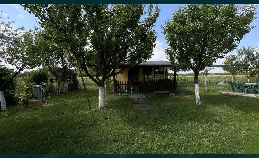 Teren de 10000 mp, în Pișchia