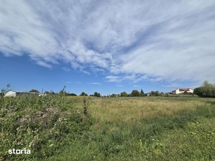 Teren de 4000 mp, în Traian