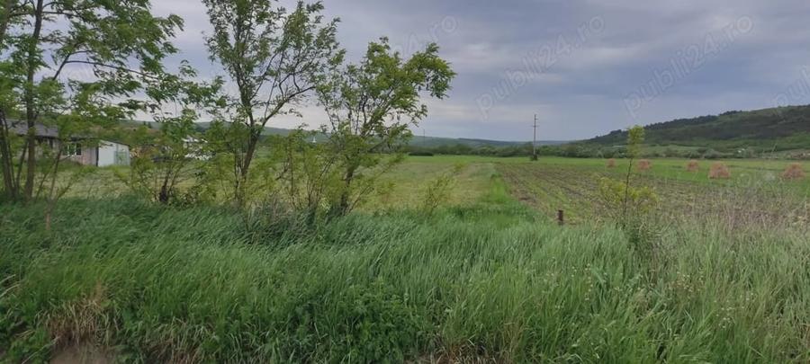 Teren de 5800 mp, în Luna