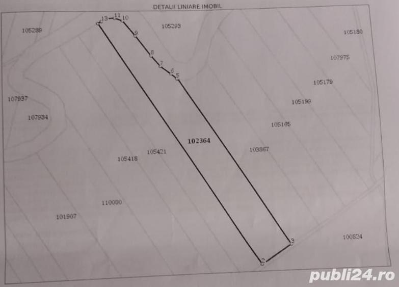 Teren de 20000 mp, în Covaci