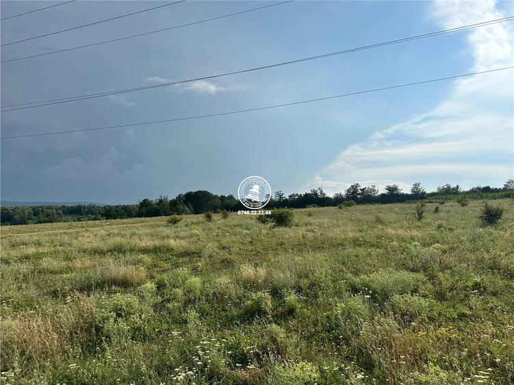 Teren de 633 mp, în Ciurea