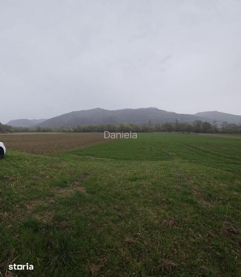 Vand Teren Agricol Galgau Jud Salaj