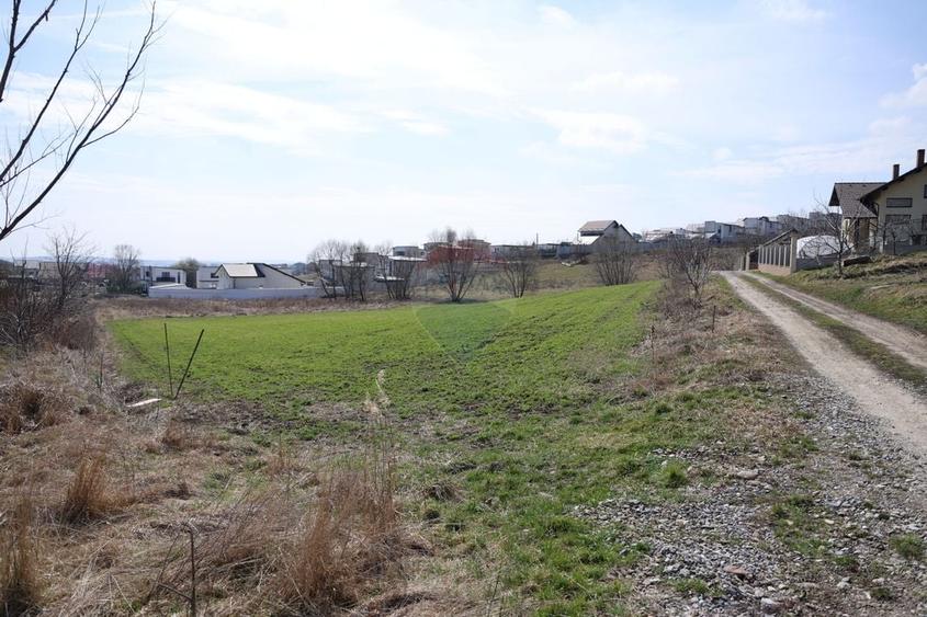Teren Construcții intravilan de 3500 mp, în Moara