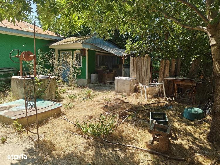 Doua case si 9.300 mp de teren in zona Bogdanesti - 6