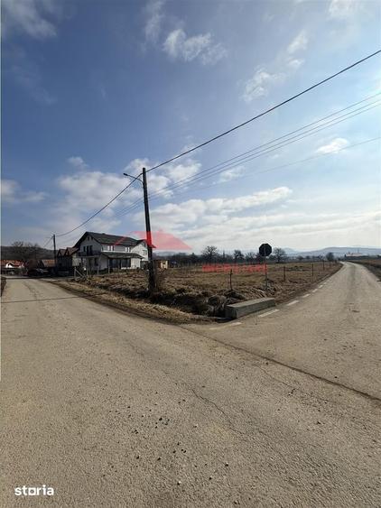 Teren de 1700 mp, în Livezile