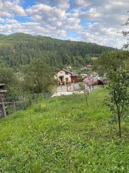 Teren de 1238 mp, în Dodeni