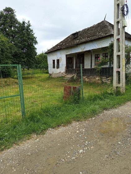 and teren intravilan, Domnesti, Arges - 4