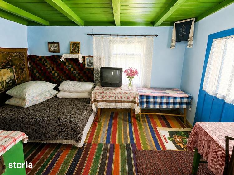 Casă cu 3 camere cu Teren 3000 Mp în Podu Roș