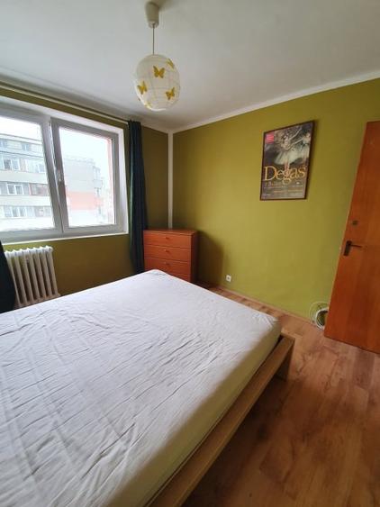 Inchiriere 2 camere Teiul Doamnei - 10