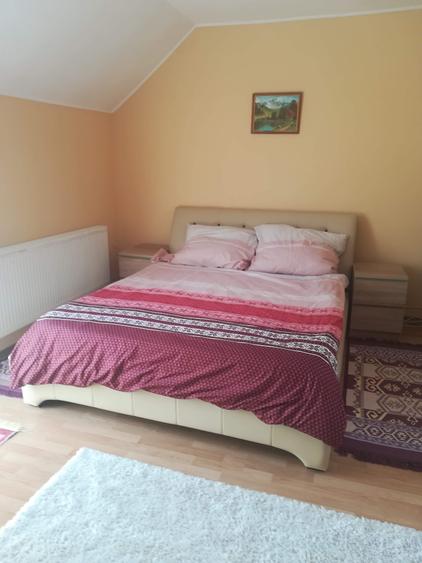 Casă individuală cu 6 camere cu Canalizare în Titulescu