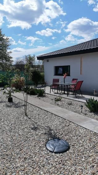de vanzare casa parter viile satu mare - 8