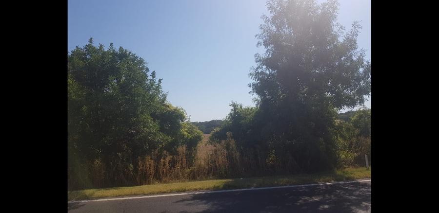 Teren Construcții intravilan de 4998 mp, în Gorgota