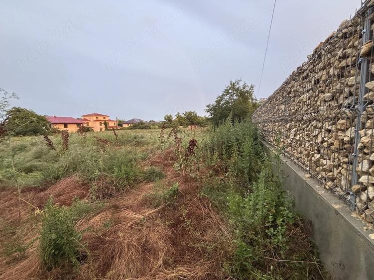 Teren de 4000 mp, în Mogoșoaia