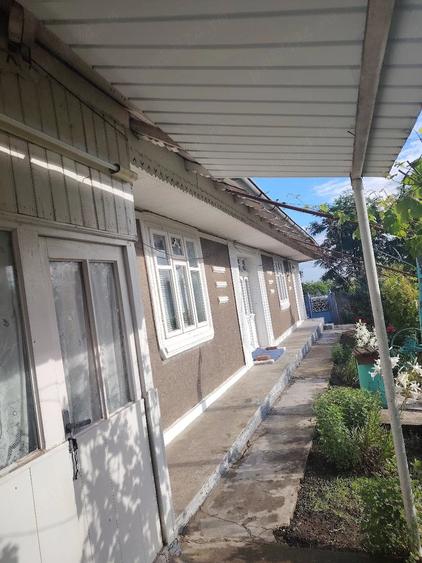 Casă cu Teren 2400 Mp în Cârja
