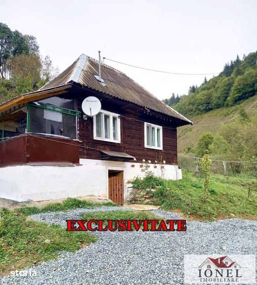 Casă cu 2 camere cu Teren 3800 Mp în Bistra