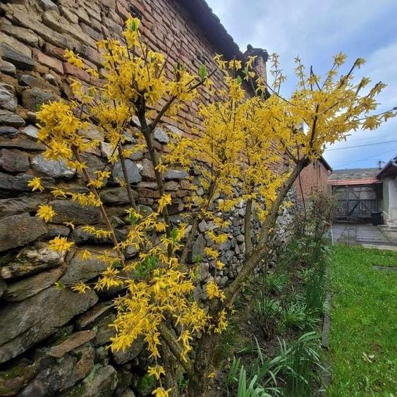 Casă cu 4 camere în Dobârca