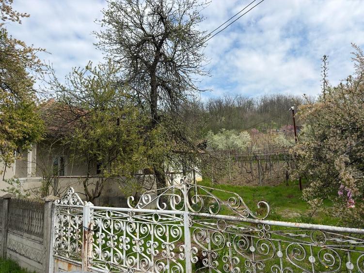 Casă cu 3 camere în Văgiulești