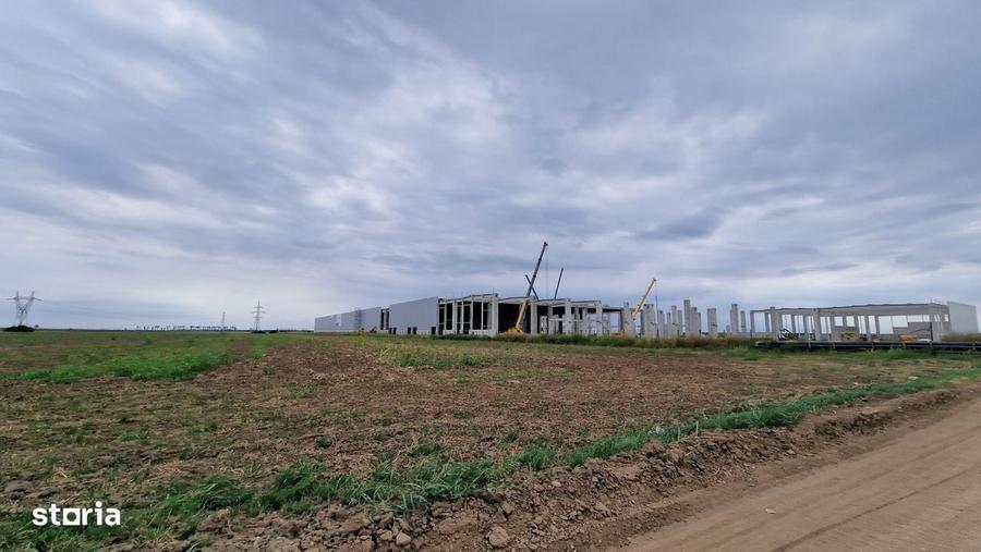 Vanzare teren 43.000 MP Intravilan Tarla 10Stefanestii de Jos, Nod - 3