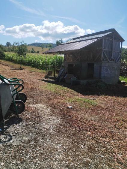 Casă cu 2 camere în Drinova