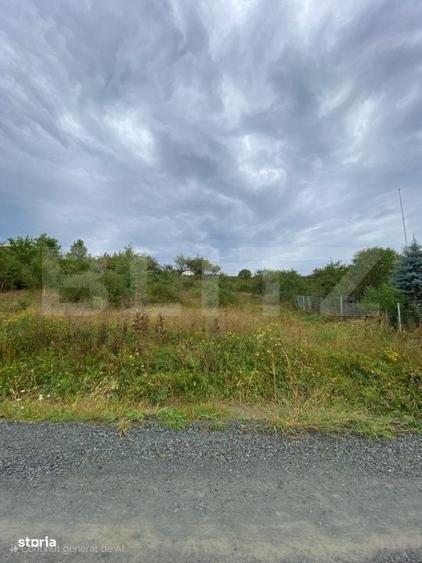 Teren intravilan 9.8 ari Valea Rusului-Zona Pensiunea Morariu - 1