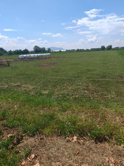 Teren Construcții intravilan de 5000 mp, în Bod