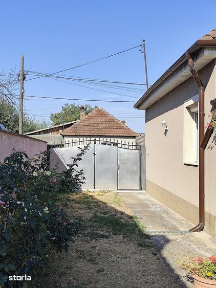 Casa la tara in Sacadat, Bihor, teren 2826 mp, acces auto - Vanzare - 13