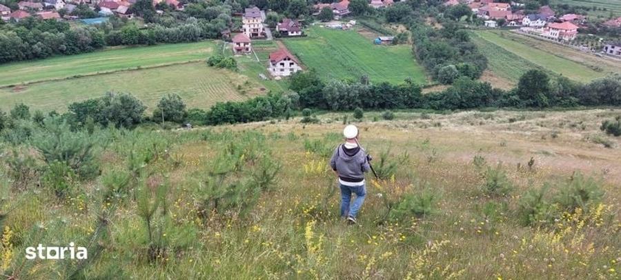 Teren de 7300 mp, în Florești