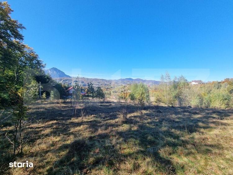 Teren de 2346 mp, în Poiana Mărului