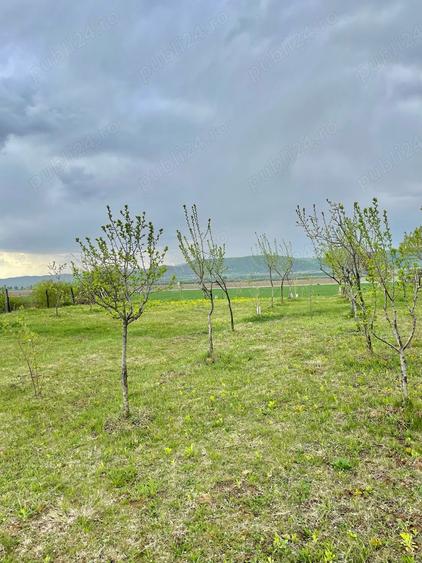 Teren în Urleta
